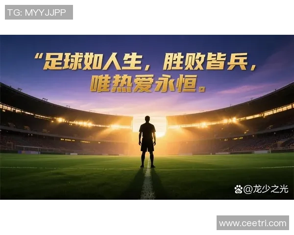麦浪足球：在绿茵场上追逐梦想与激情的青春故事