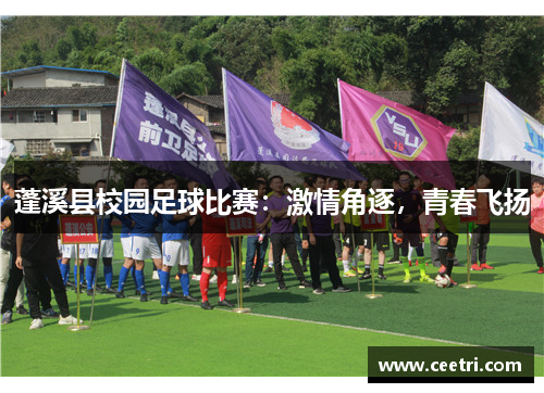 蓬溪县校园足球比赛：激情角逐，青春飞扬