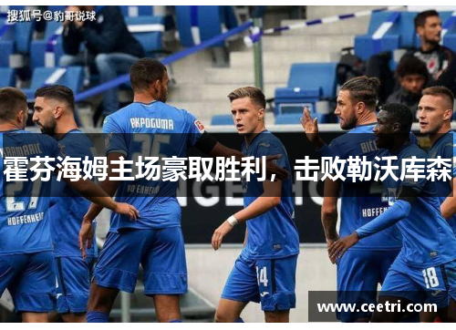 霍芬海姆主场豪取胜利，击败勒沃库森