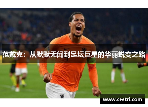 范戴克：从默默无闻到足坛巨星的华丽蜕变之路