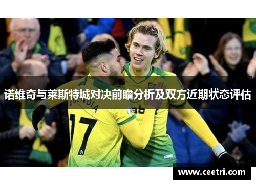 诺维奇与莱斯特城对决前瞻分析及双方近期状态评估