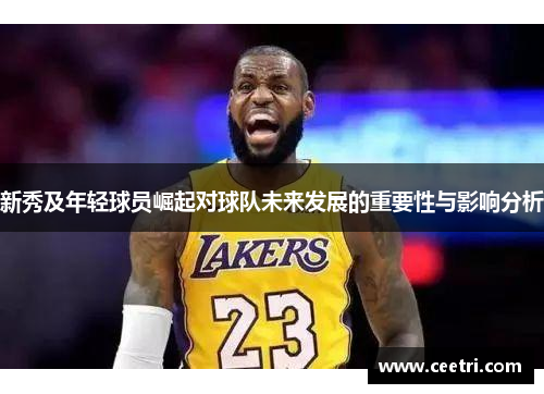 新秀及年轻球员崛起对球队未来发展的重要性与影响分析