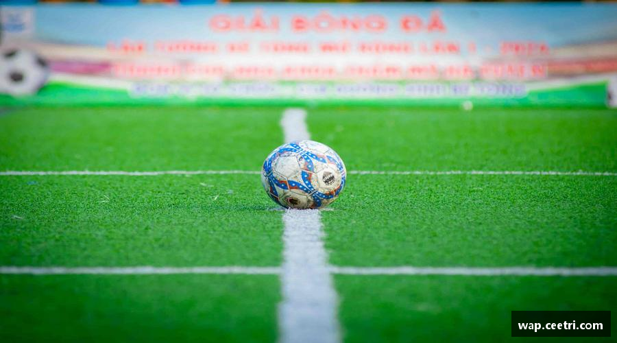 球速体育平台登录入口无畏向前，力争登顶